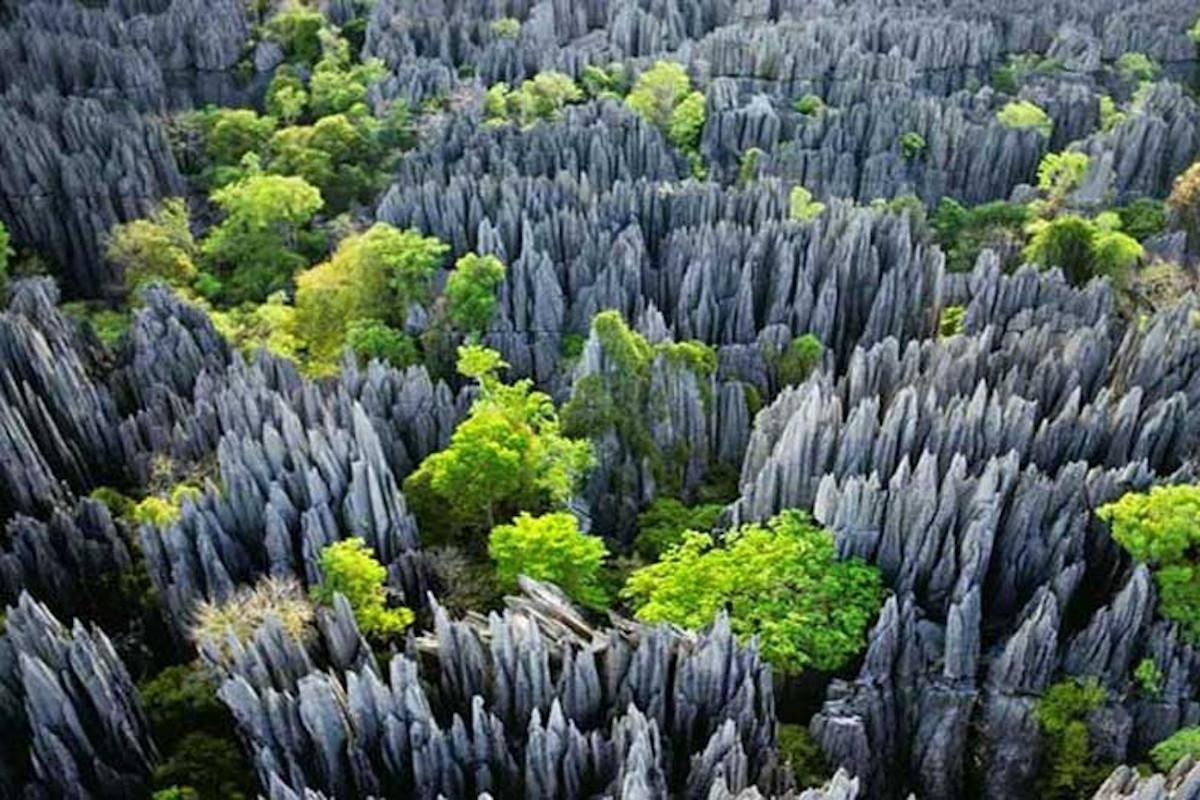 Národný park Tsingy de Bemaraha, Madagaskar Národný park Tsingy de Bemaraha, Madagaskar