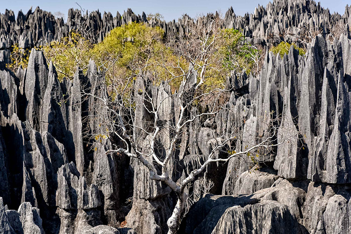 Národný park Tsingy de Bemaraha, Madagaskar Národný park Tsingy de Bemaraha, Madagaskar