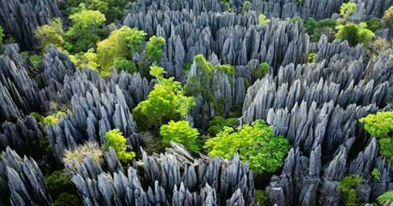 Národný park Tsingy de Bemaraha, Madagaskar