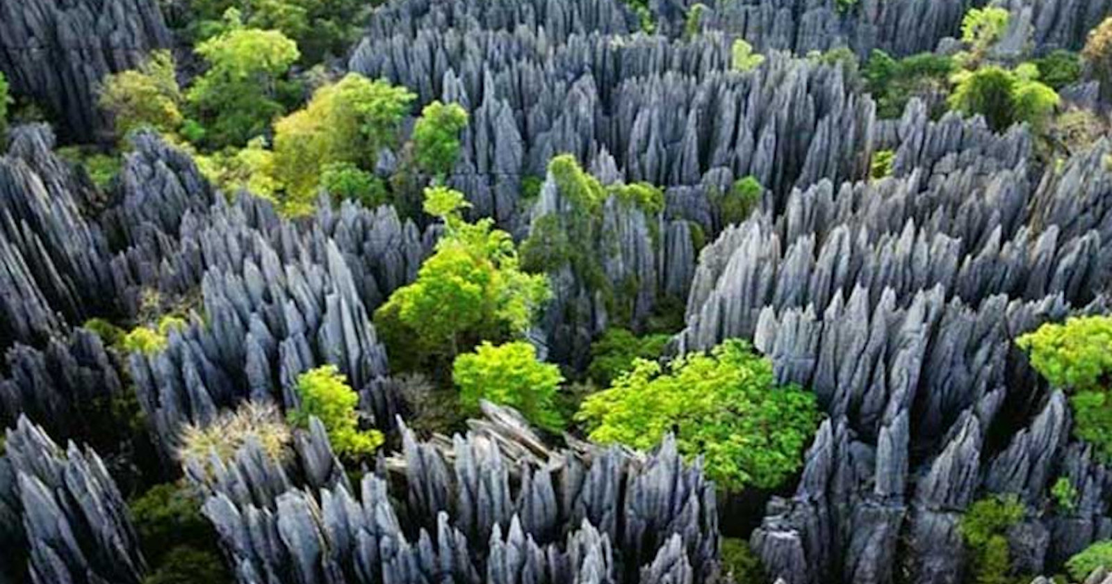 Národný park Tsingy de Bemaraha, Madagaskar