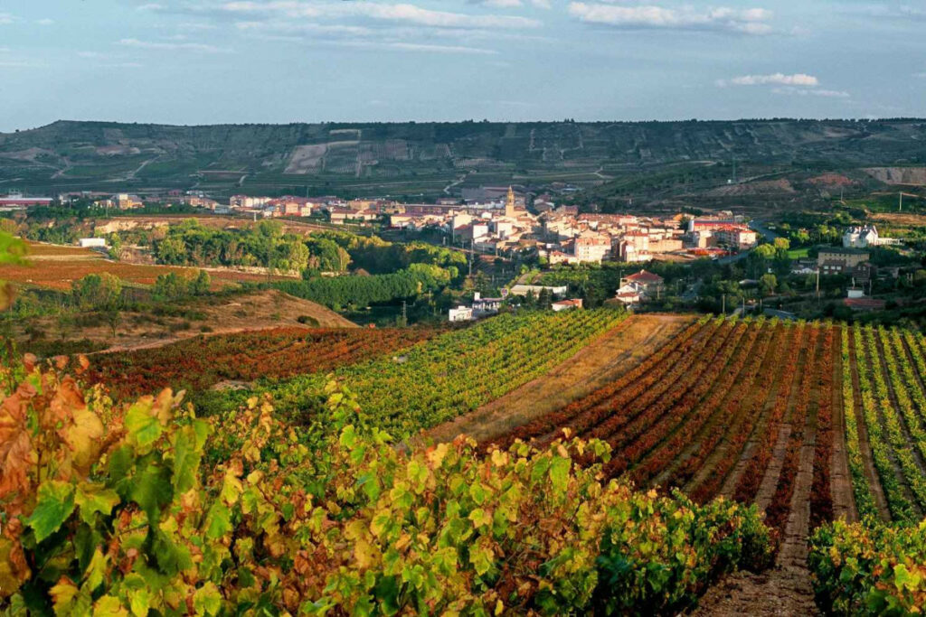 Cenicero, La Rioja, Španielsko