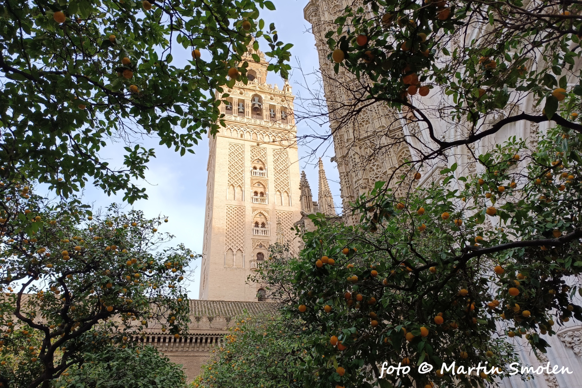 Katedrála Sevilla Katedrála Sevilla