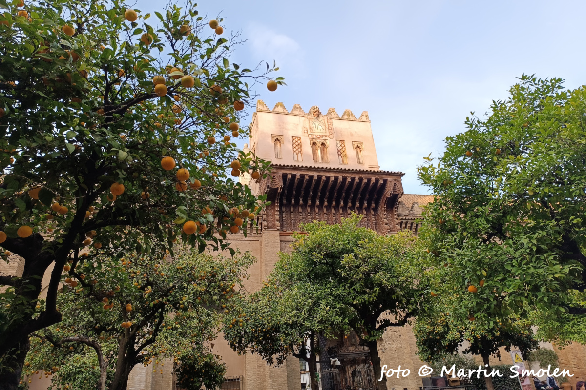 Katedrála Sevilla Katedrála Sevilla